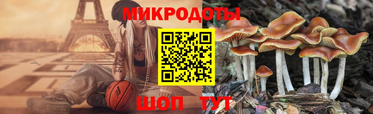 Псилоцибиновые грибы MAGIC MUSHROOMS  Вход с VPN  Псилоцибиновые грибы Cubensis  Дзержинск 